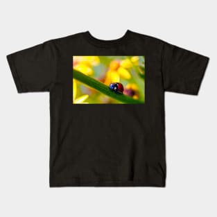 Ladybird on Ragwort Kids T-Shirt